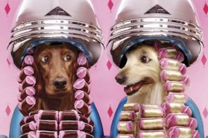 Peluquería canina al extremo