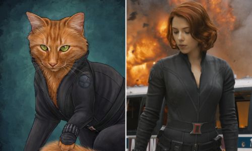 los-gatos-reemplazan-a-los-superheroes-Black Widow