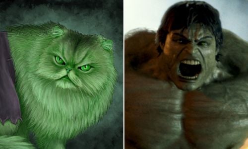 los-gatos-reemplazan-a-los-superheroes-Hulk