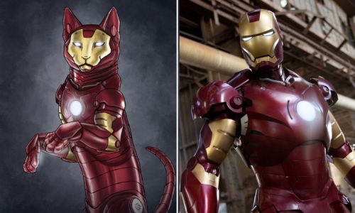 los-gatos-reemplazan-a-los-superheroes-Iron Man