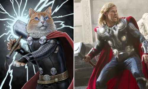 los-gatos-reemplazan-a-los-superheroes-Thor