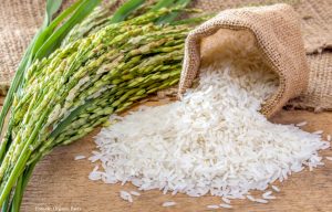 ¿Cómo utilizar el arroz para atraer dinero y prosperidad?