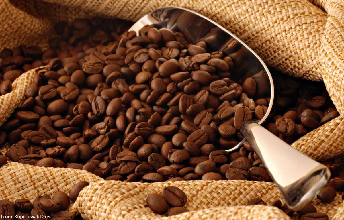 ¿Cuál es el mayor secreto del café más caro del mundo?