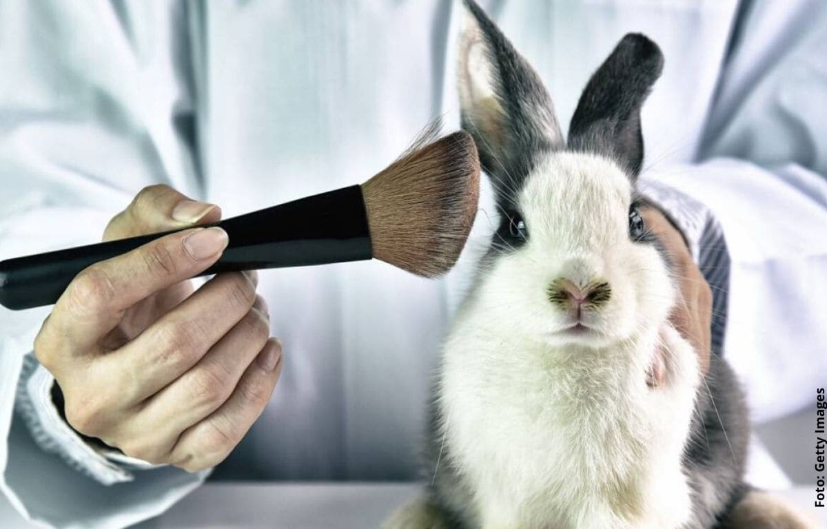 Colombia prohíbe experimentos con animales para uso cosmético