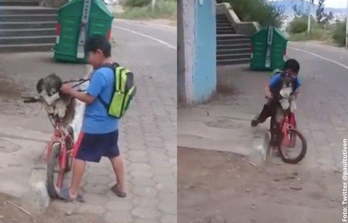 Niño le pone tapabocas a su perro y lo pasea en bicicleta