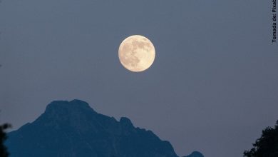 Aprovecha los mejores rituales de la luna llena para el 2020