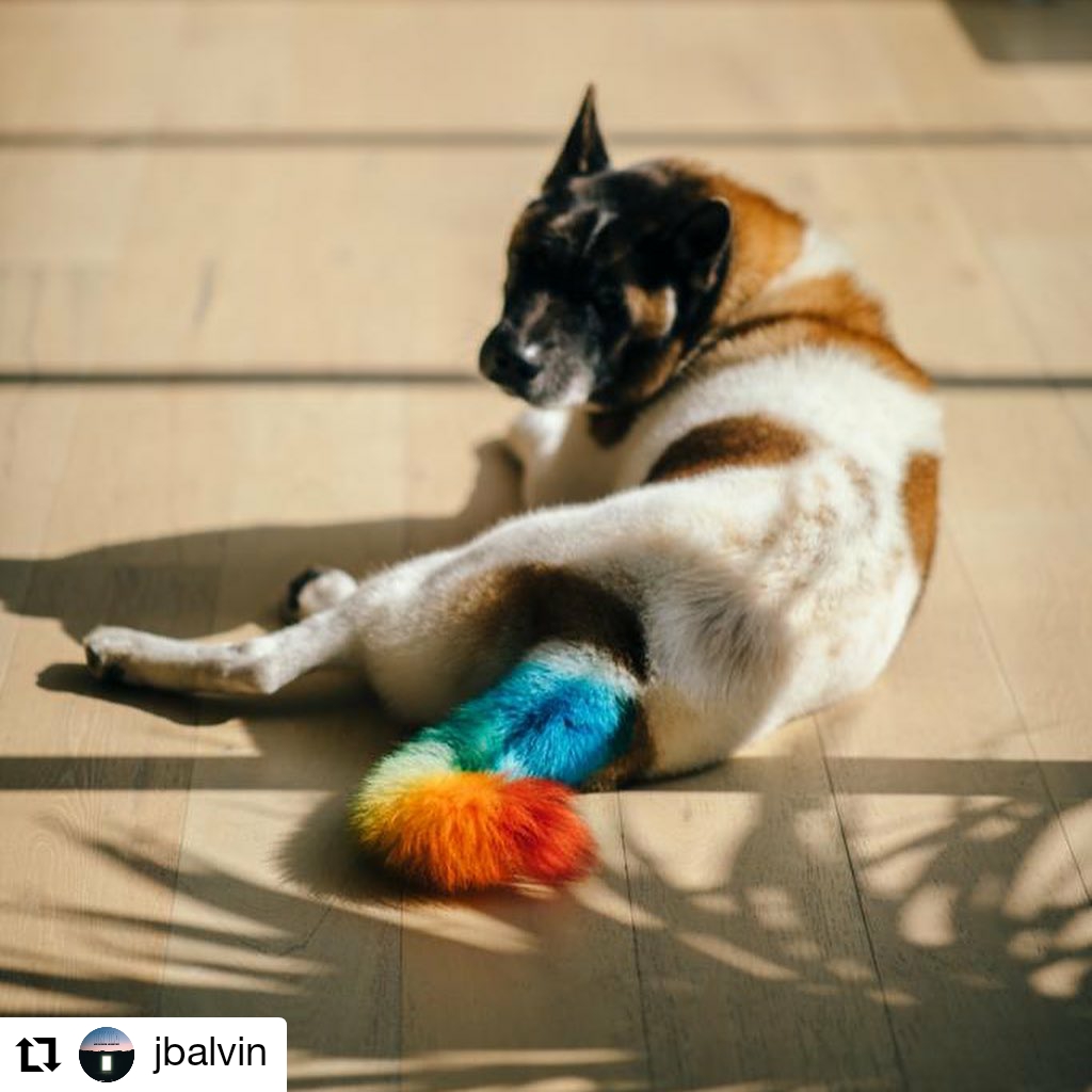 perro con la cola pintada de colores