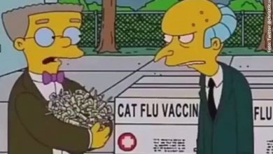 Los Simpson predijeron hasta la polémica jornada de vacunación