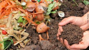 ¿Cómo hacer compost? Aprende y aprovecha tus residuos