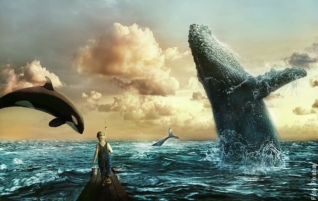 ilustración de varias ballenas