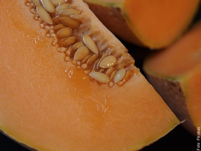 foto de melón cortado