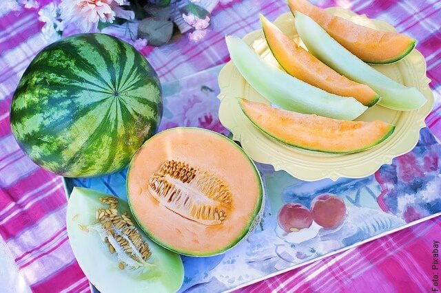 foto de picnic con melón