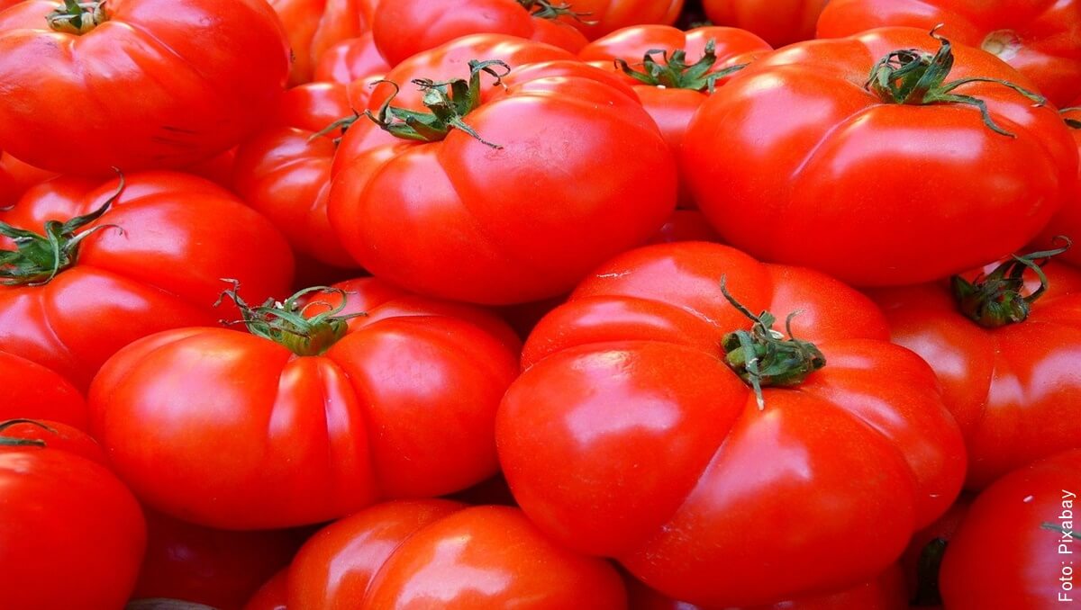 Para qué sirve el tomate, consúmelo sin remordimientos