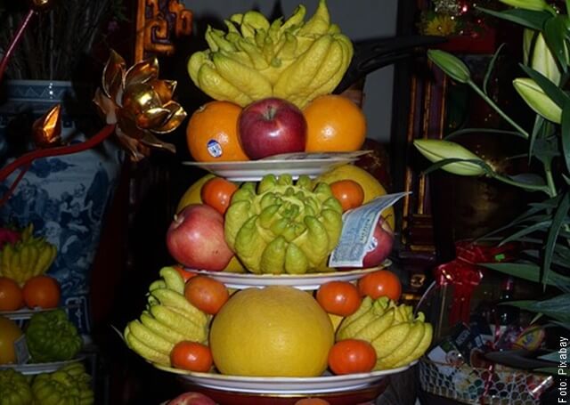 foto de muchas frutas