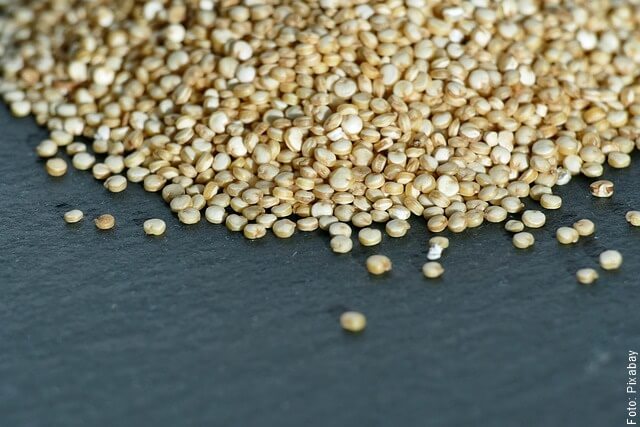 foto de semillas de quinua regadas