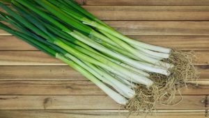 ¿Cómo cultivar cebolla larga? ¡Es fácil y práctico!