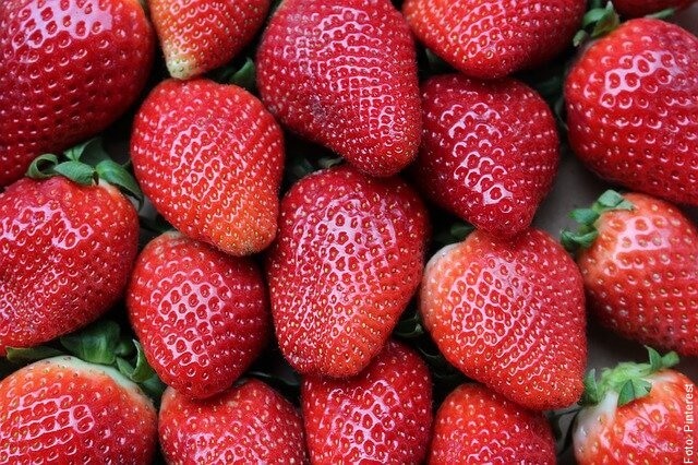 foto de varias fresas