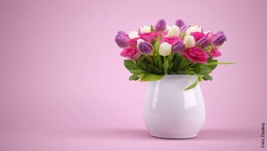 Cuidado de tulipanes, ¡que tu casa florezca siempre!
