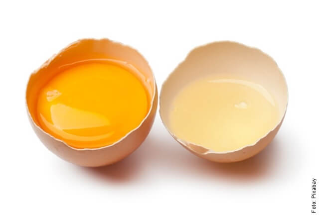 foto de huevo con clara y yema separado
