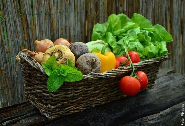 foto de varias verduras