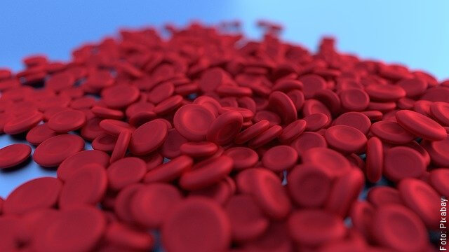 foto de globulos rojos