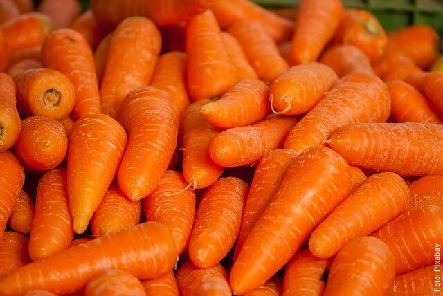 foto de zanahorias