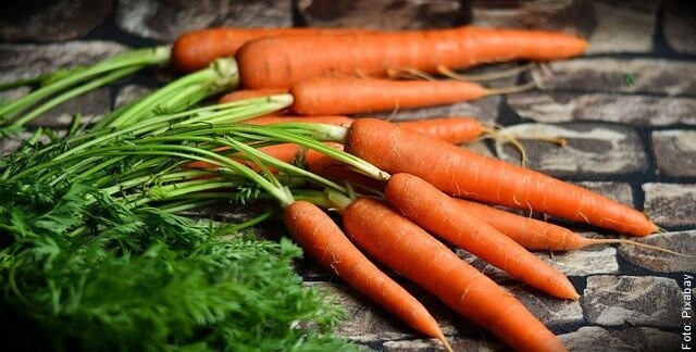 foto de zanahorias con rama