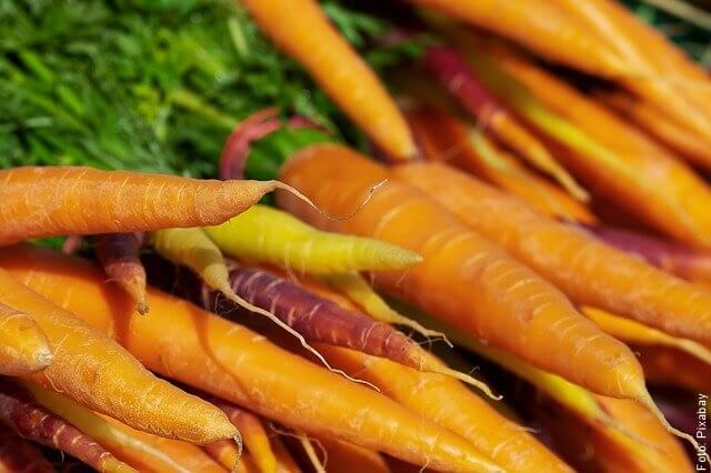 foto de zanahorias