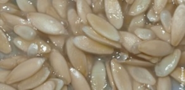 foto de semillas de pepino