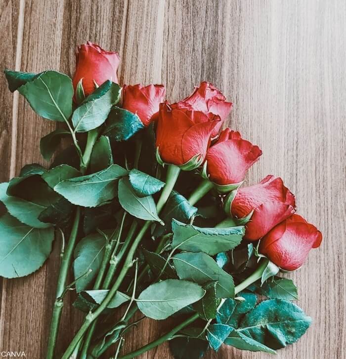 Foto de rosas rojas sobre la mesa