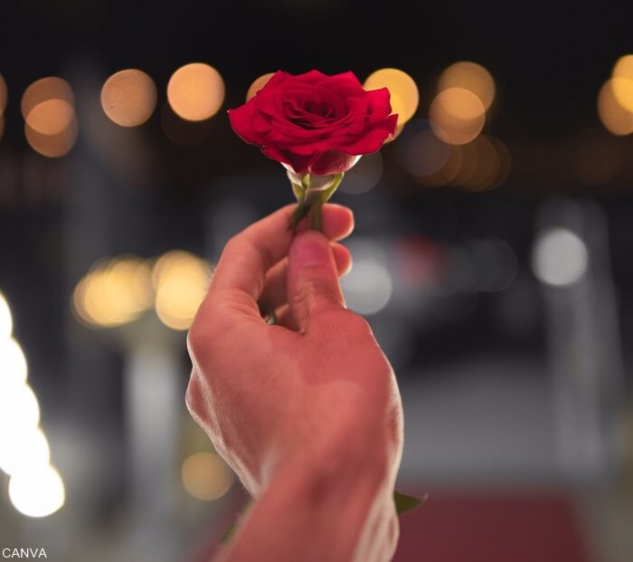 foto de mano de una persona regalando una rosa
