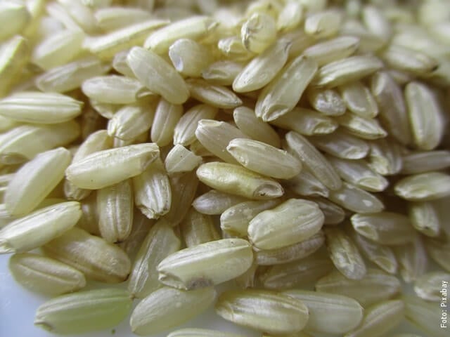 foto de arroz