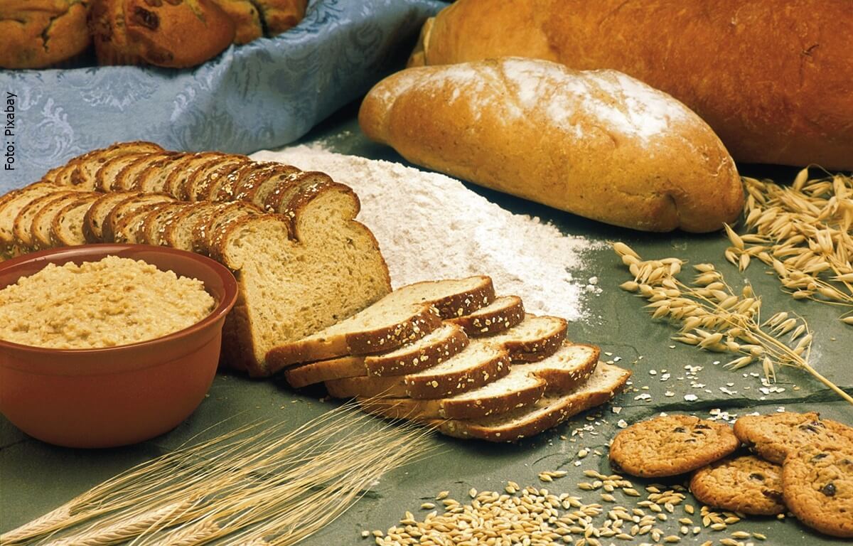 ¿Cómo hacer pan integral? Alimentarte mejor si es posible