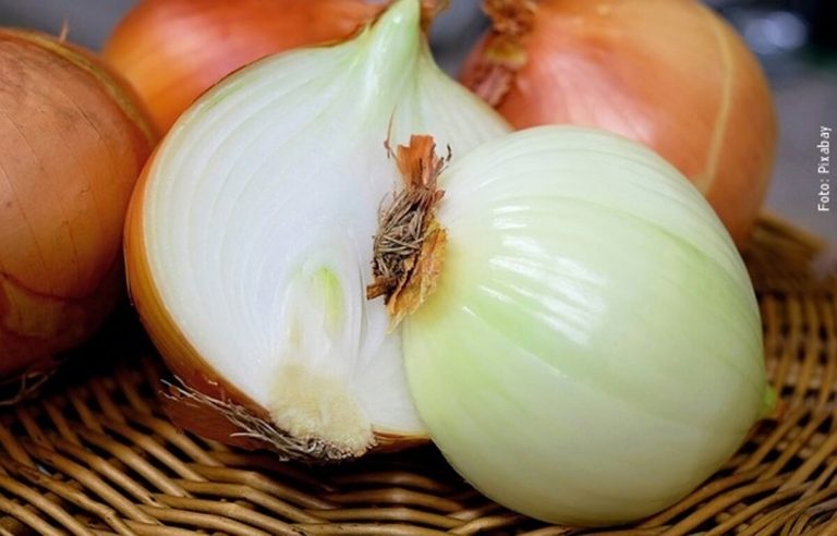 Para Qué Sirve La Cebolla En El Cabello Empieza A Usarla Para Qué Sirve La Cebolla En El Cabello Empieza A Usarla
