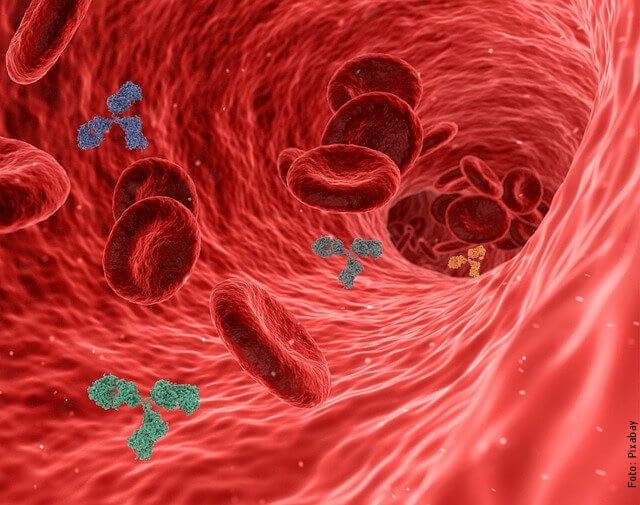 ilustración de colesterol