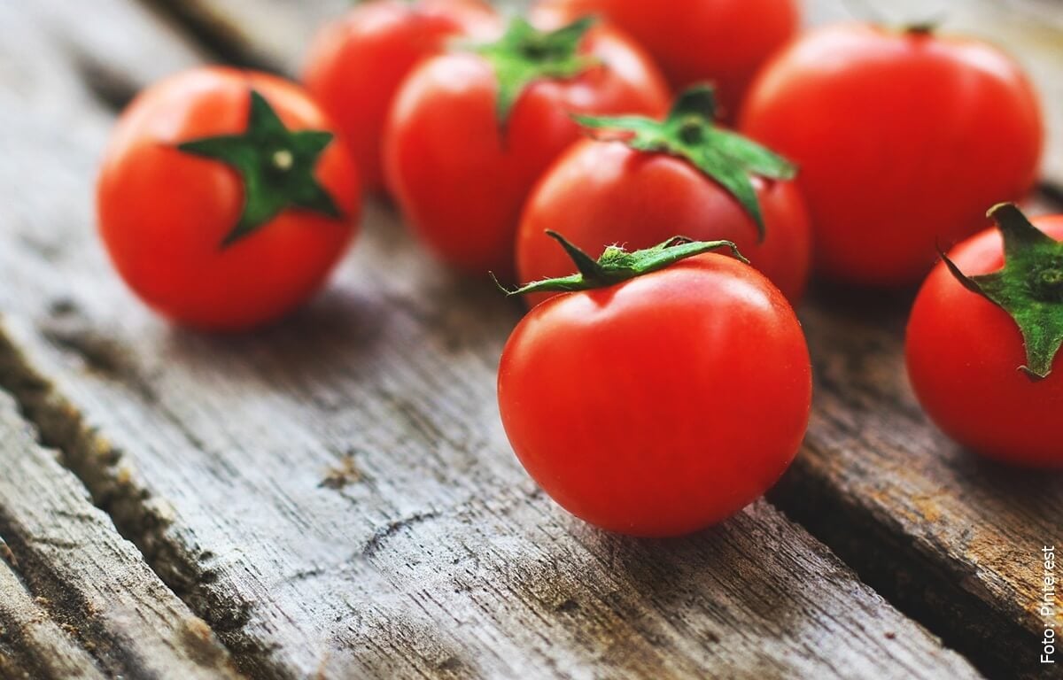 ¿Cómo cultivar tomate cherry? Sigue estos pasos
