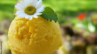Foto de helado de color amarillo con una flor que revela cómo hacer helados cremosos caseros