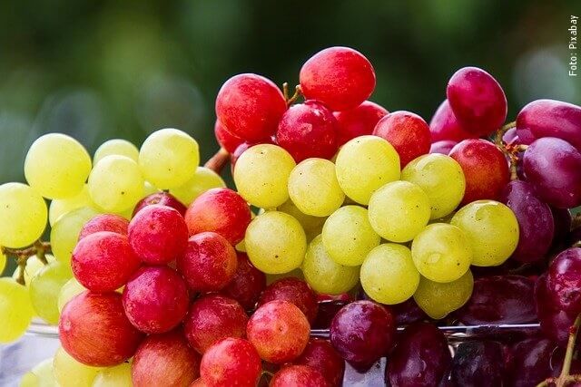 foto de uvas
