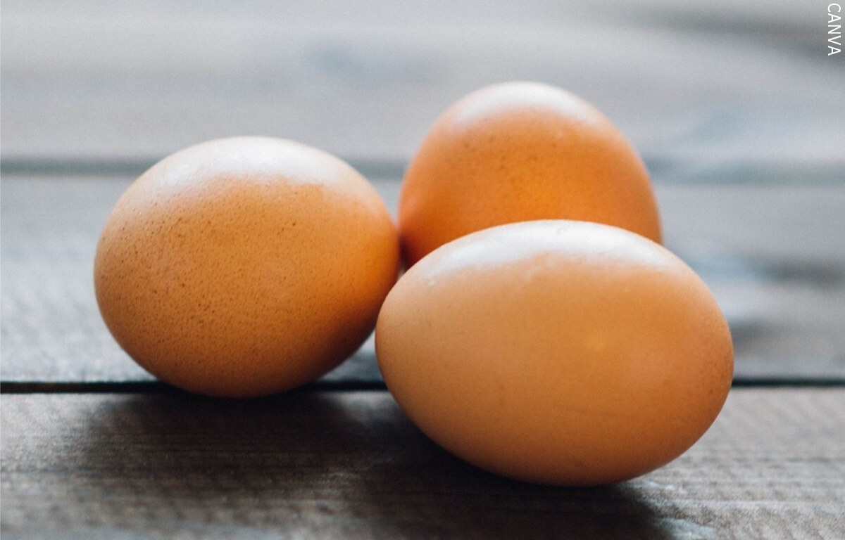 La alarmante publicación que muestra un huevo a mil pesos