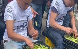 Video: Torneo de desgranar arvejas conmocionó las redes