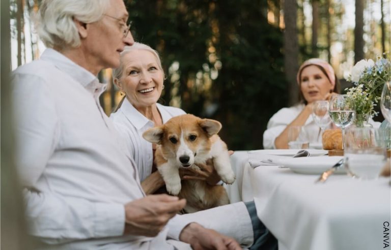 restaurantes-pet-friendly-en-bogot-que-deber-as-visitar