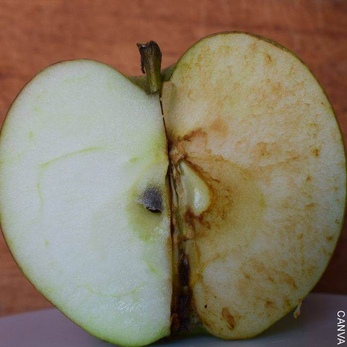 Foto de una manzana oxidada