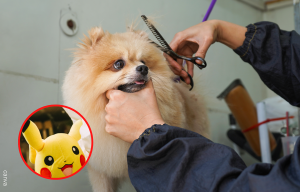 Hombre pintó a su perrita como Pikachu y le llovieron críticas en redes