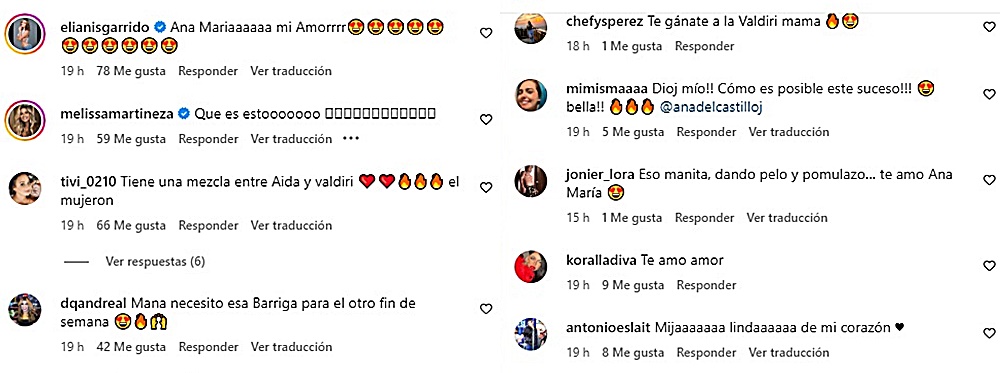 Screenshot de los comentarios en la publicación de Ana del Castillo