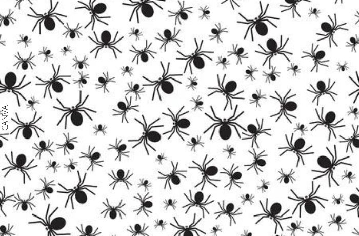 Ilustración de muchas arañas