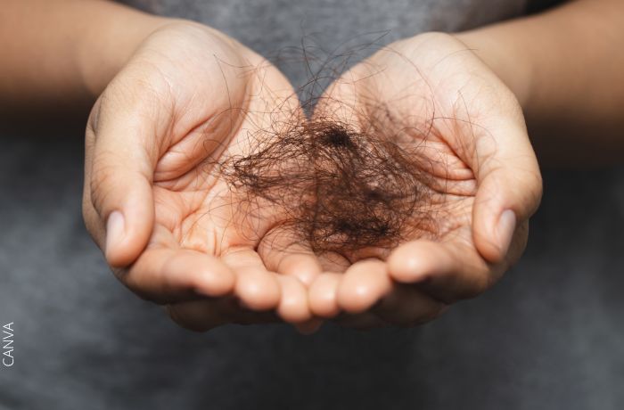 Foto de un puñado de pelo en las manos de una persona