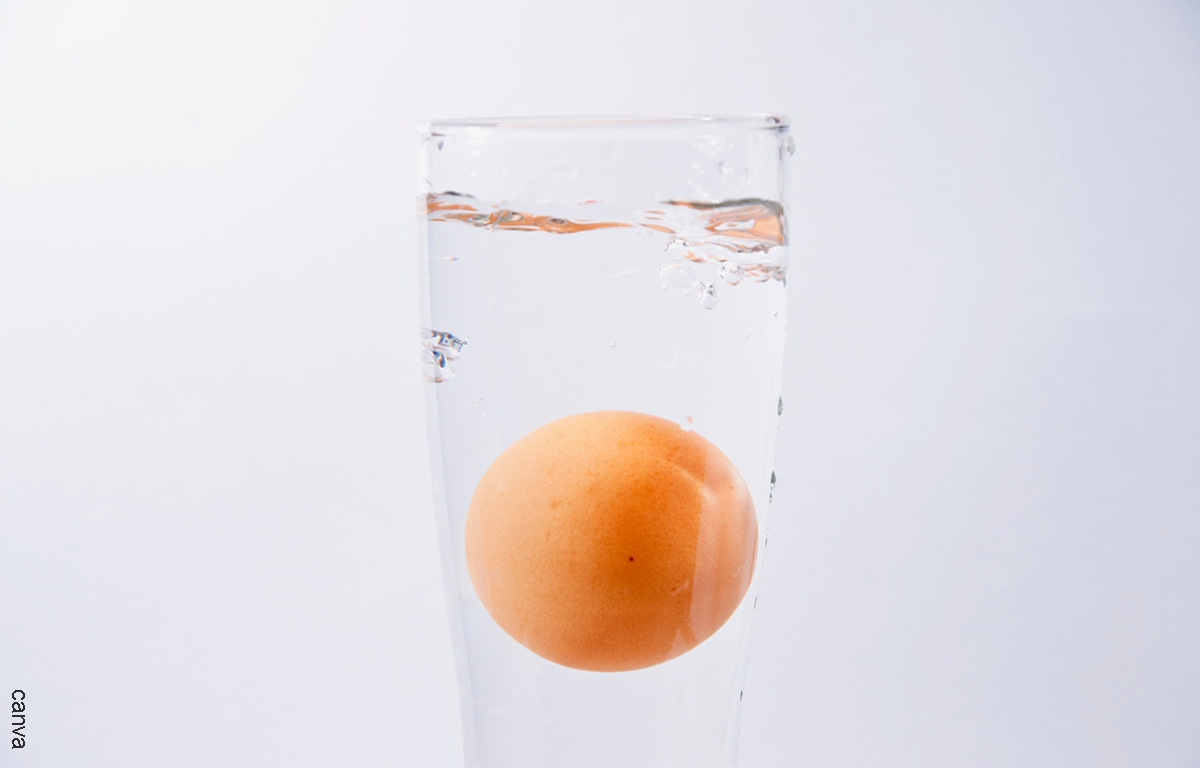 Lectura del huevo en agua. ¡Aprende cómo hacerla!