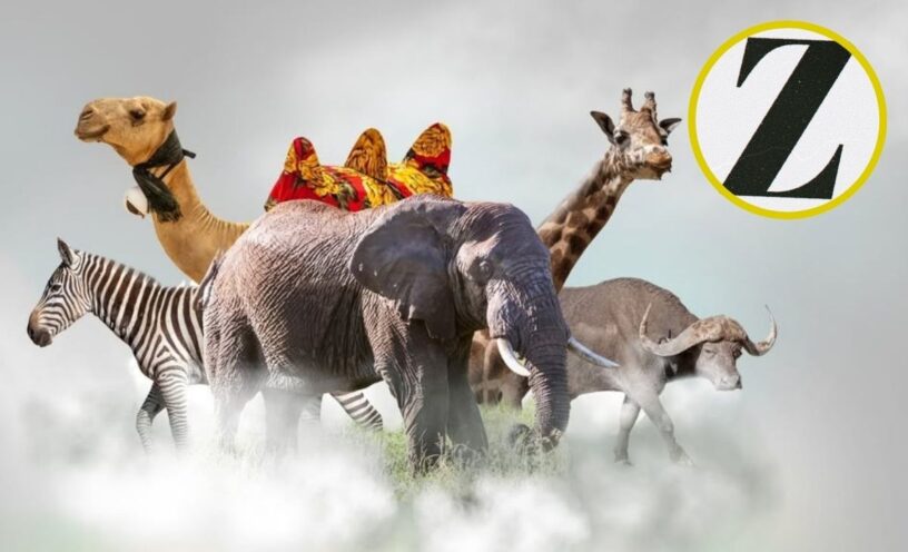 Animales que empiezan con la letra Z