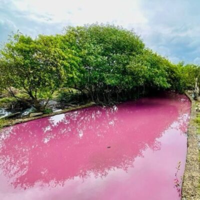 El rio rosado de Colombia