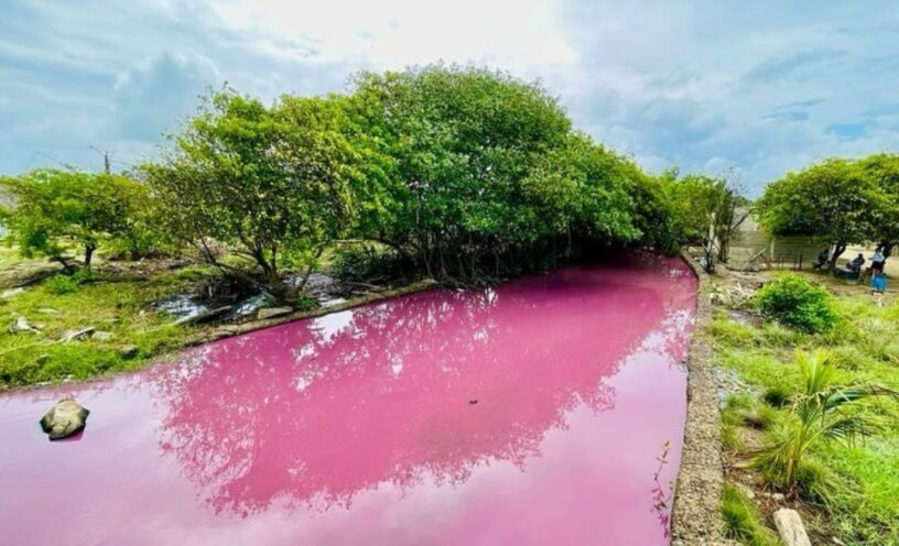 El rio rosado de Colombia